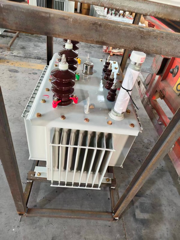 S13‑1000kVA <a href='https://mingshan.xdbyq.cn/youjinshi/' target='_blank' title='名山油浸式变压器'><strong>名山油浸式变压器</strong></a> 大型厂区 S13 名山名山名山油浸式变压器 S13‑1000kVA 名山名山名山油浸式变压器 大型厂区 S13 名山名山名山油浸式变压器